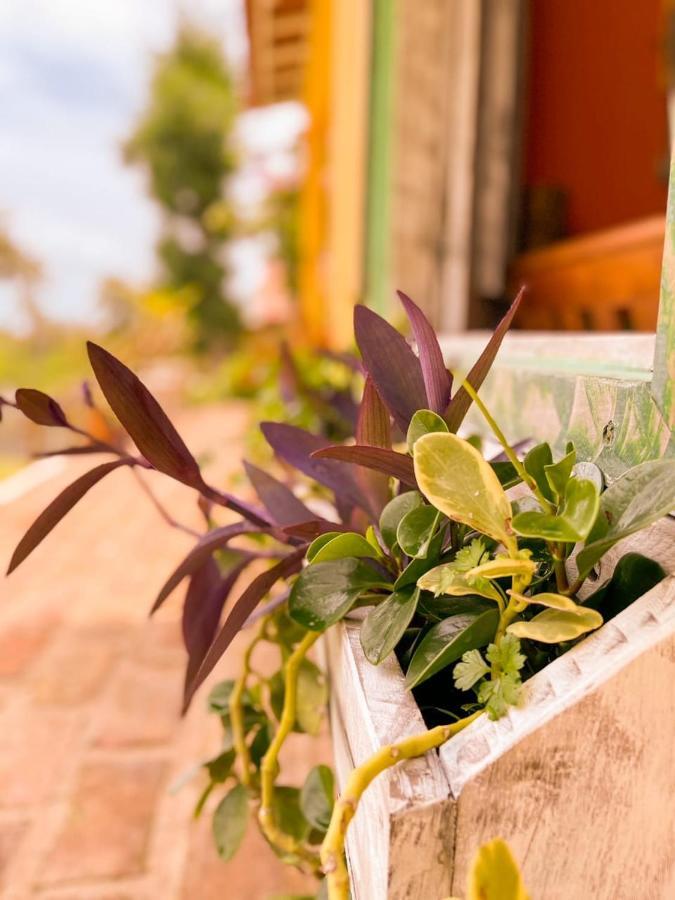 Casa Tematica Icaraizinho Villa Dış mekan fotoğraf